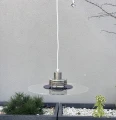 IMG_9392.JPG