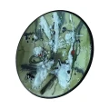 talerz-na-sciane-emalia-olkusz2.webp