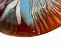 Photoroom_002_20240806_124037.JPG