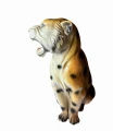 Photoroom_003_20240806_124319.jpg