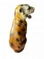 Photoroom_000_20240806_124258.JPG