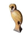 Photoroom_002_20240831_130339.jpg
