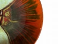 Photoroom_002_20240831_130509.jpg