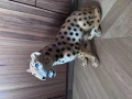 IMG_9754.jpeg