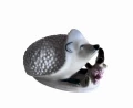 Photoroom_20250125_124110.jpg