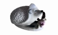 Photoroom_20250125_124110.jpg
