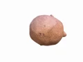 Photoroom_20250518_183331.JPEG