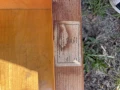 IMG_5236.jpeg