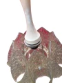 Photoroom_001_20251027_113347.jpeg