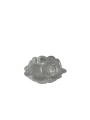 IMG_3304-Photoroom.jpeg