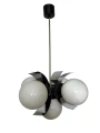 IMG_7460-Photoroom 2.jpg