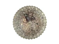 IMG_6102-Photoroom.jpeg