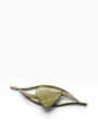 IMG_7566-Photoroom.png