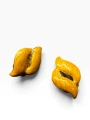 IMG_7583-Photoroom.png