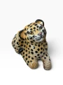 IMG_7978-Photoroom.png