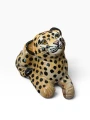 IMG_7981-Photoroom.png