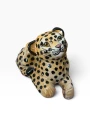 IMG_7973-Photoroom.png