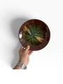 IMG_8213-Photoroom.png
