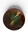 IMG_8208-Photoroom.png