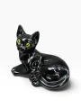 IMG_8647-Photoroom.png