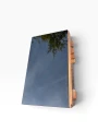IMG_9178-Photoroom.png
