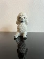 3D682699-1244-404C-8A28-16BC887124BC.jpeg