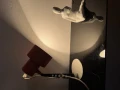 AA871D0F-01AC-4195-AB45-640F161449B1.jpeg