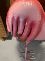 D898BE0B-0254-4425-8F9F-04FBD3DD9019.jpeg