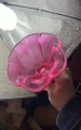 0F2821DB-5E4A-4A35-B3FE-0861EC9E61F8.jpeg
