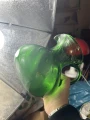 E0EA365E-9D7A-4E67-8B82-28C3878135B8.jpeg