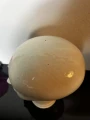 566CB560-B361-41F8-8422-C6E2EE8A48BF.jpeg