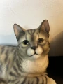 575A7B9B-0C0D-4CF3-B8C8-F25932B3BFC7.jpeg
