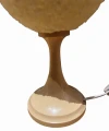 PhotoRoom_20230118_190102.jpg
