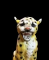 PhotoRoom_20230120_130233.jpg