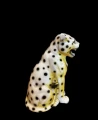 PhotoRoom_20230120_130000.jpg