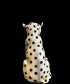 PhotoRoom_20230120_130013.jpg