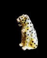 PhotoRoom_20230120_130038.jpg
