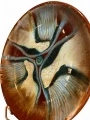 PhotoRoom_20230313_132639.JPG