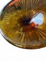 PhotoRoom_20230403_123929.JPG