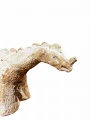 piaskowiec-figurka-dinozaura4.JPG
