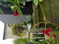 IMG_4423.jpeg