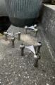 IMG_4669.jpeg