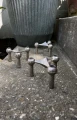 IMG_4670.jpeg