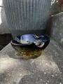IMG_4674.jpeg