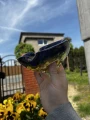 IMG_4676.jpeg