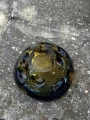 IMG_4677.jpeg