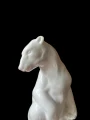 PhotoRoom_20230605_115442.jpg